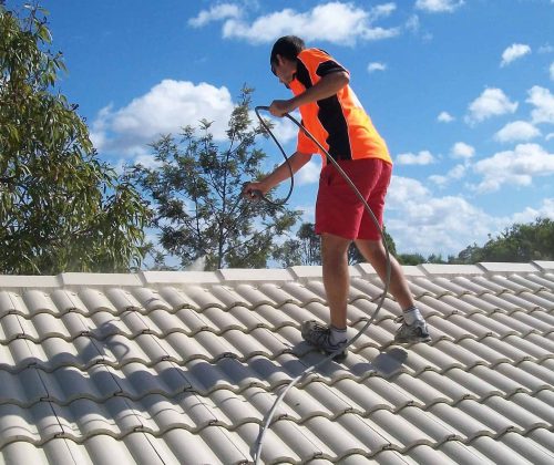 roof-painter